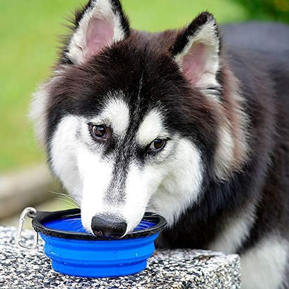 Large Collapsible Dog Travel Bowls – 34 oz (2-Pack)