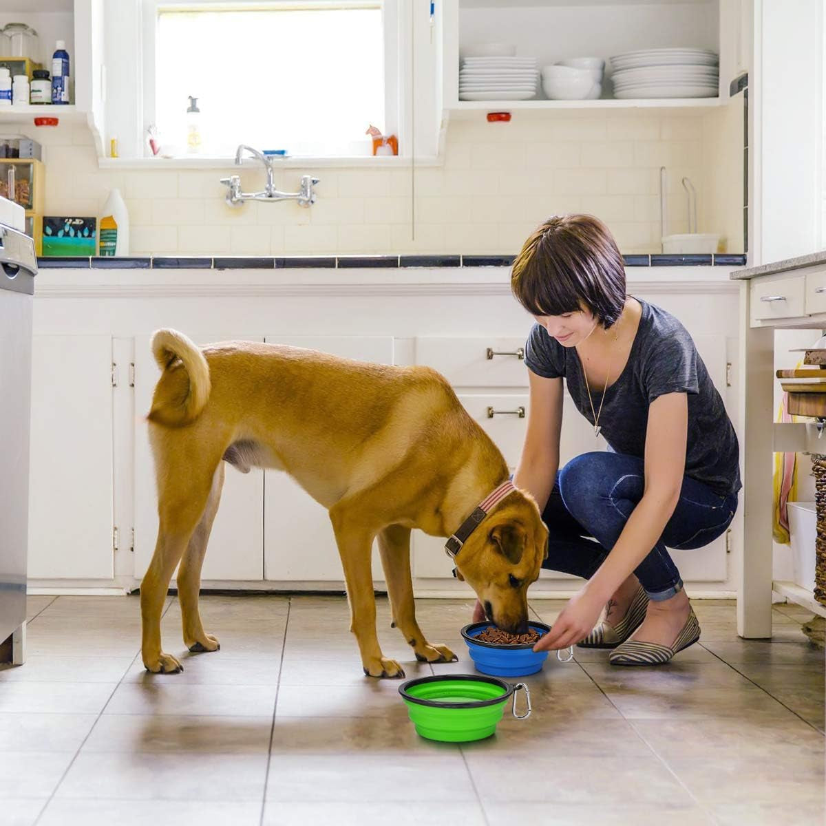 Large Collapsible Dog Travel Bowls – 34 oz (2-Pack)
