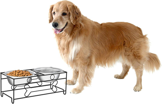 Dual Stainless Steel Dog Bowl Set with Decorative Stand (40 oz, Silver/Black)