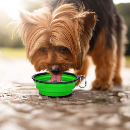 Large Collapsible Dog Travel Bowls – 34 oz (2-Pack)