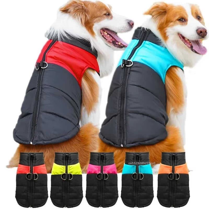 Waterproof Winter Dog Jacket & Padded Vest