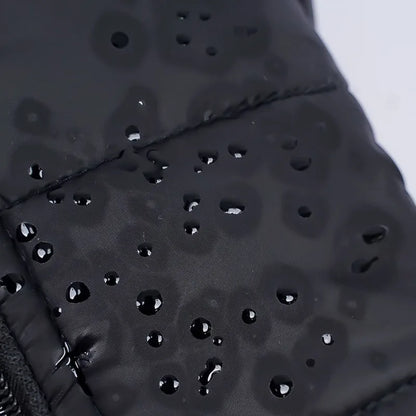 Waterproof Winter Dog Jacket & Padded Vest
