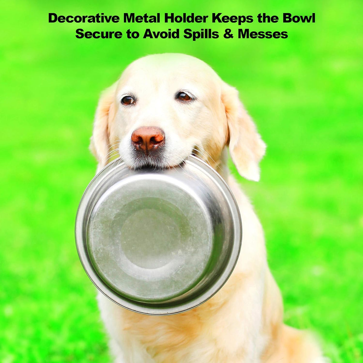 Dual Stainless Steel Dog Bowl Set with Decorative Stand (40 oz, Silver/Black)