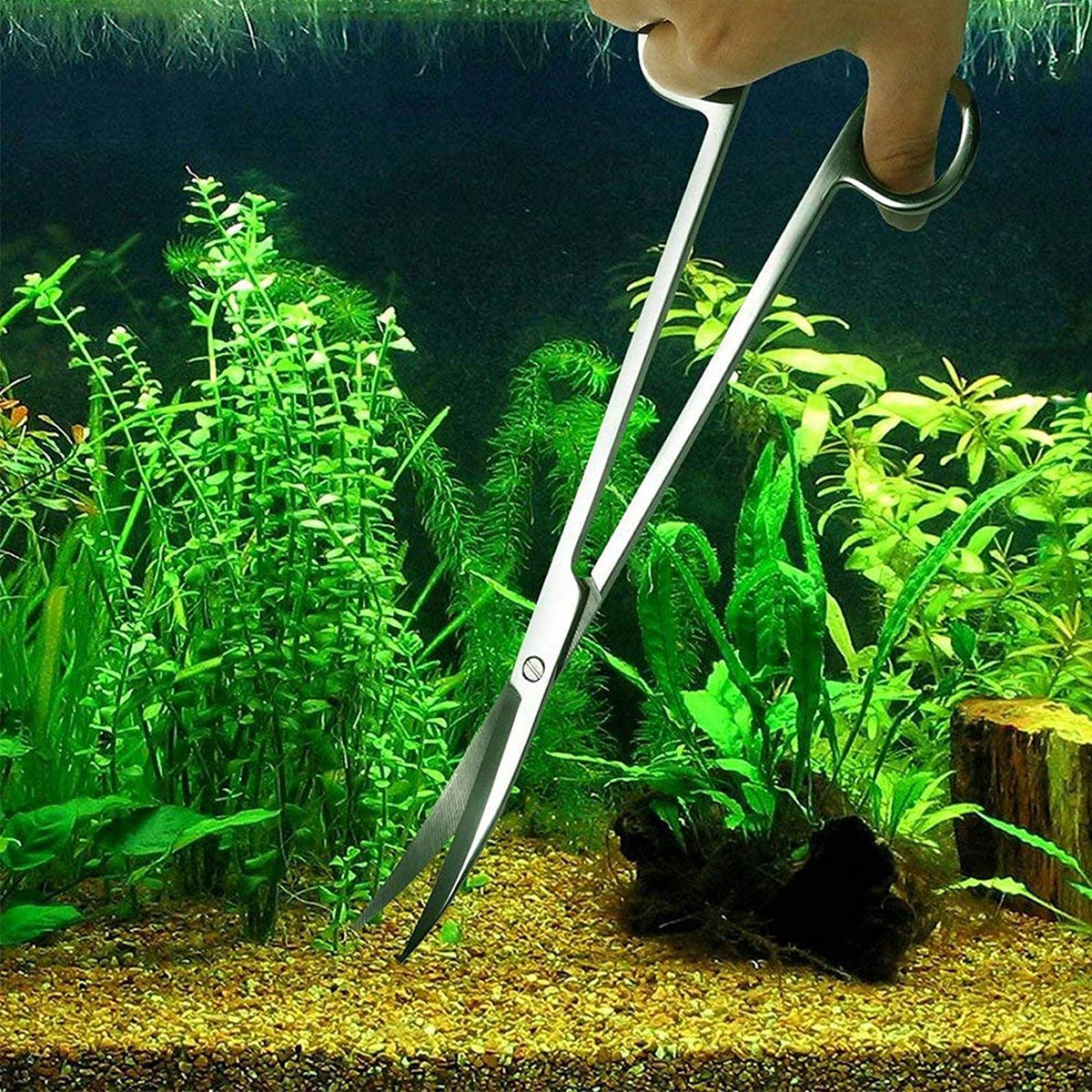 4-in-1 Stainless Steel Aquascaping Tool Set