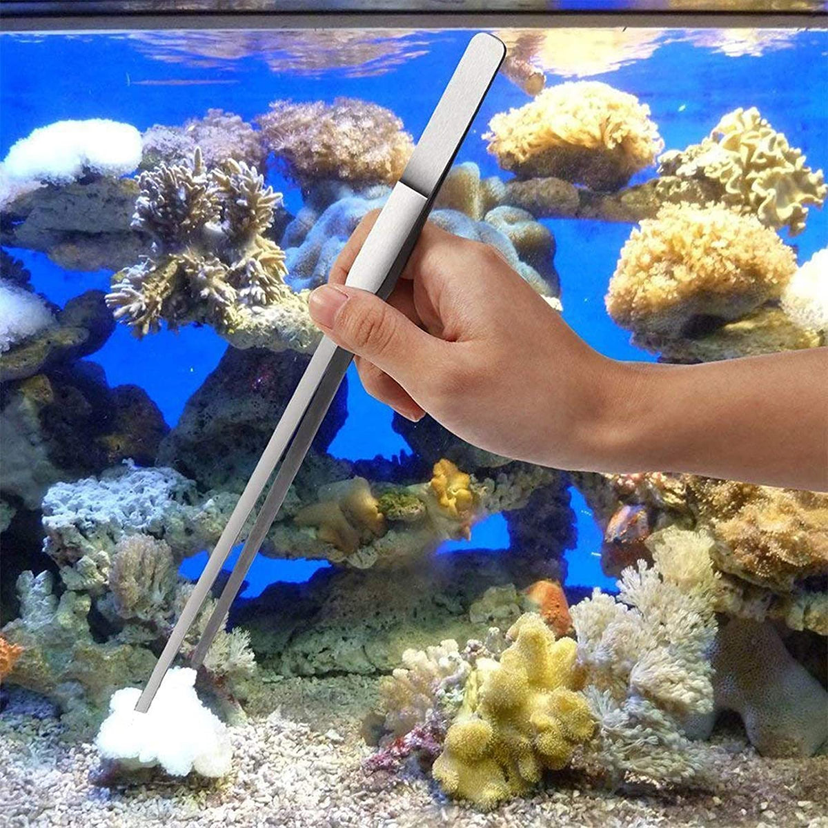 4-in-1 Stainless Steel Aquascaping Tool Set