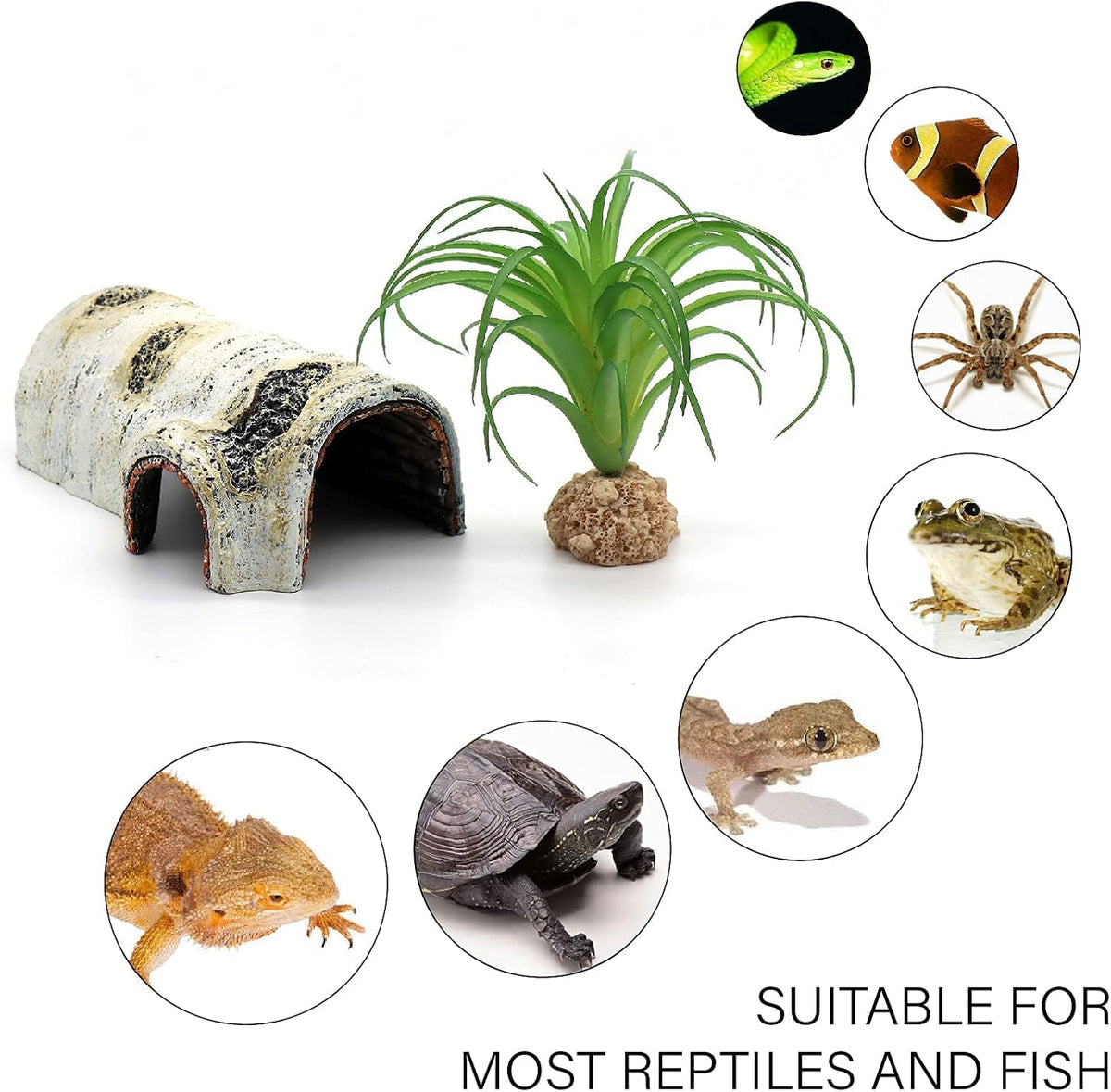 Natural Birch Bark Reptile Hide (Small)