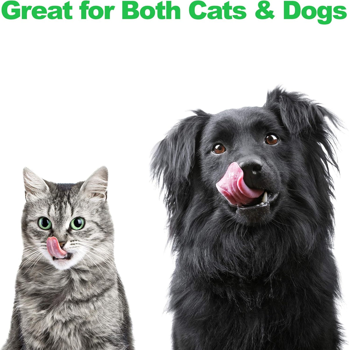 Dual Stainless Steel Dog Bowl Set with Decorative Stand (40 oz, Silver/Black)