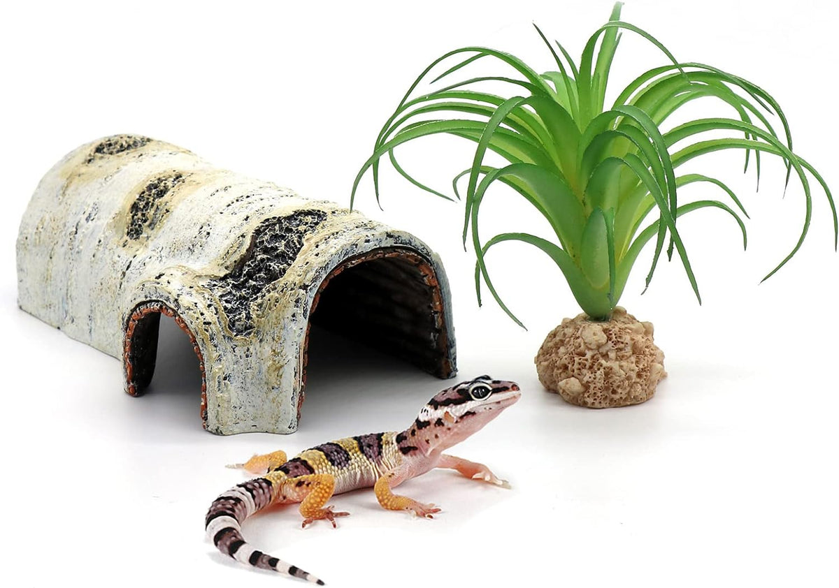 Natural Birch Bark Reptile Hide (Small)
